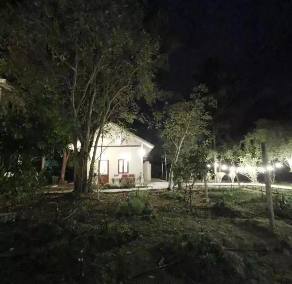 Aamiaismajoitus (B&B) Baangaimuan