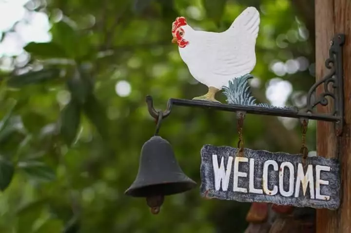 Aamiaismajoitus (B&B) Baangaimuan