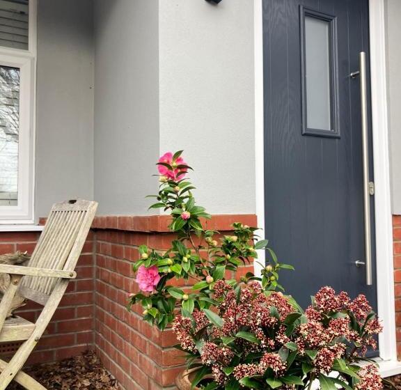 تختخواب و صبحانه Fig Tree House