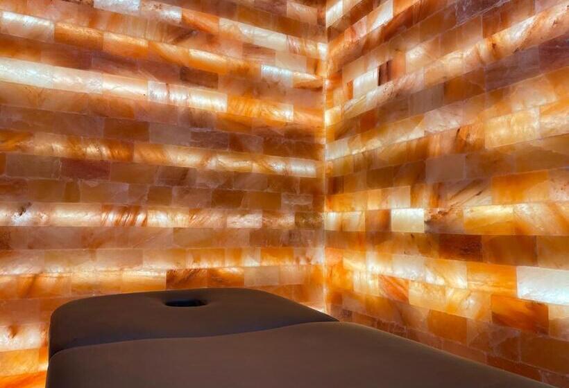 בית מלון כפרי Conacul Baciu