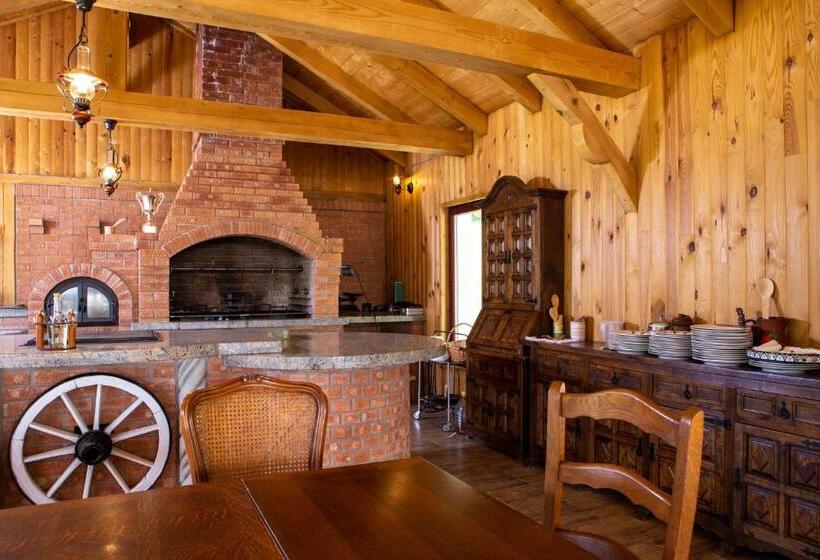 בית מלון כפרי Conacul Baciu