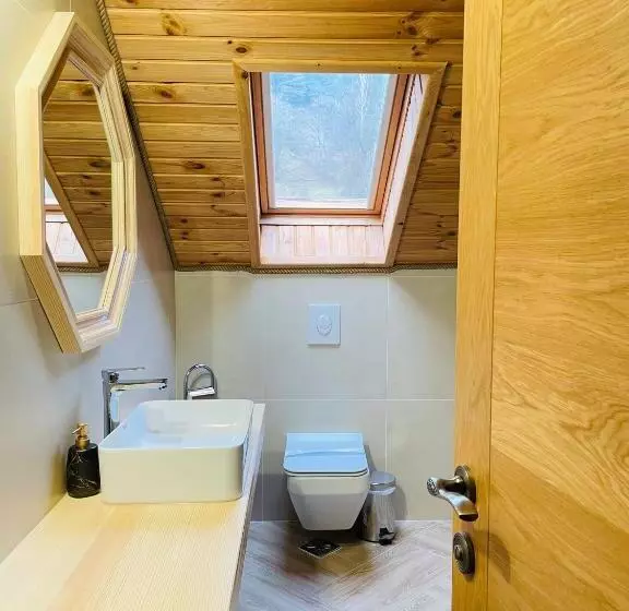 Hotelli Conacul Baciu