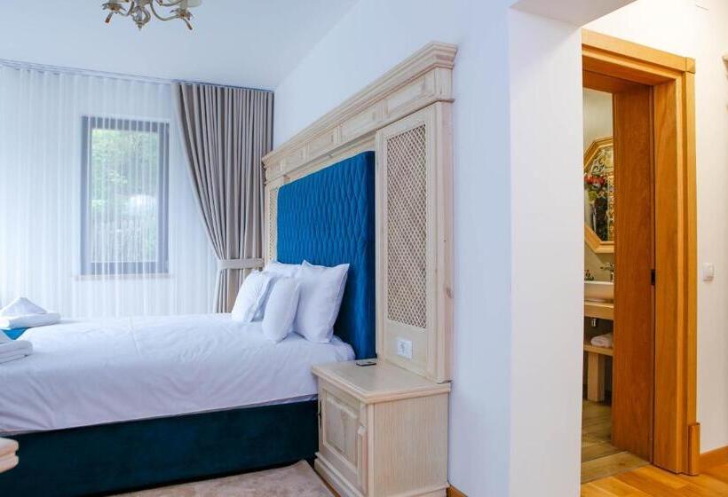 בית מלון כפרי Conacul Baciu