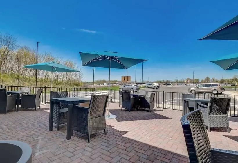 ホテル Hampton Inn & Suites Williamstown Ark Encounter, Ky