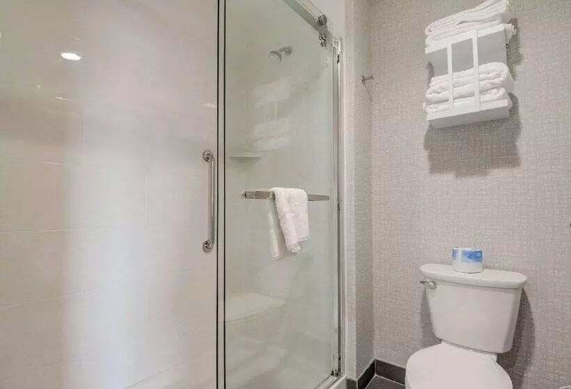 ホテル Hampton Inn & Suites Williamstown Ark Encounter, Ky