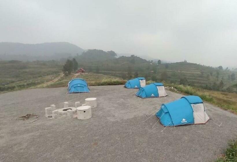 酒店 Misty Valley Resort