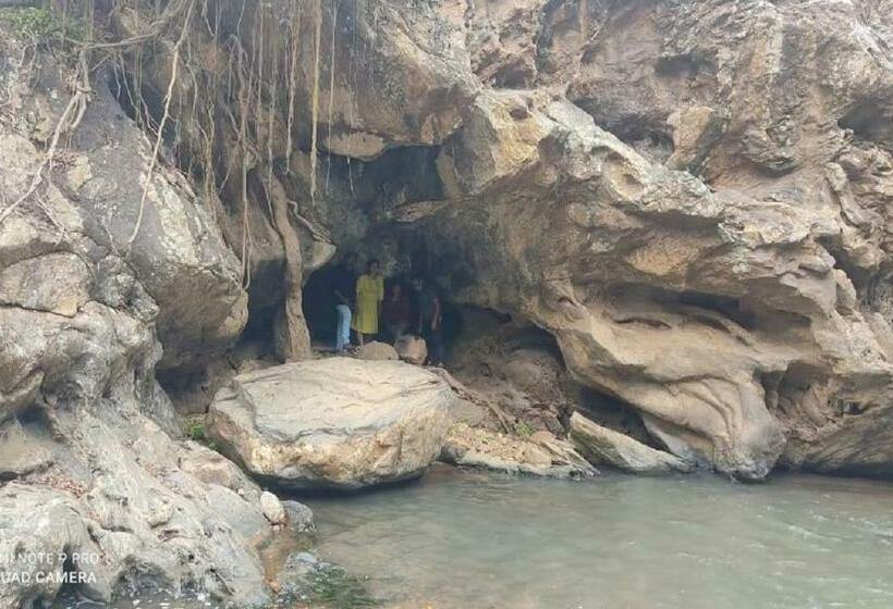 酒店 Misty Valley Resort