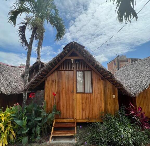 酒店 Zutalu   Playa Sur