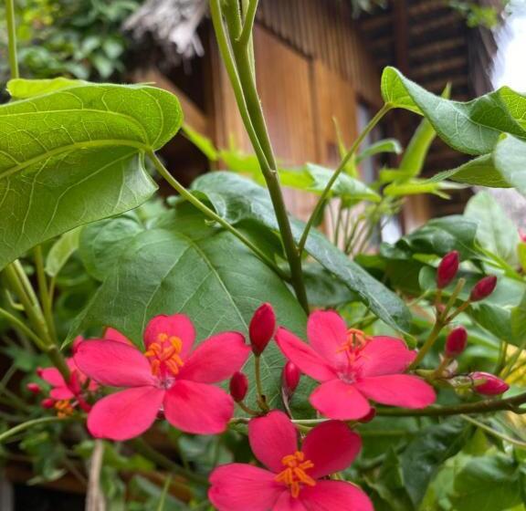 酒店 Zutalu   Playa Sur