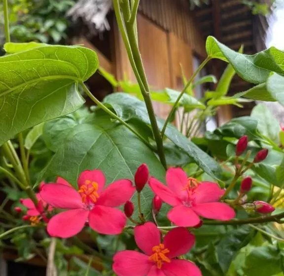 Hotelli Zutalu   Playa Sur