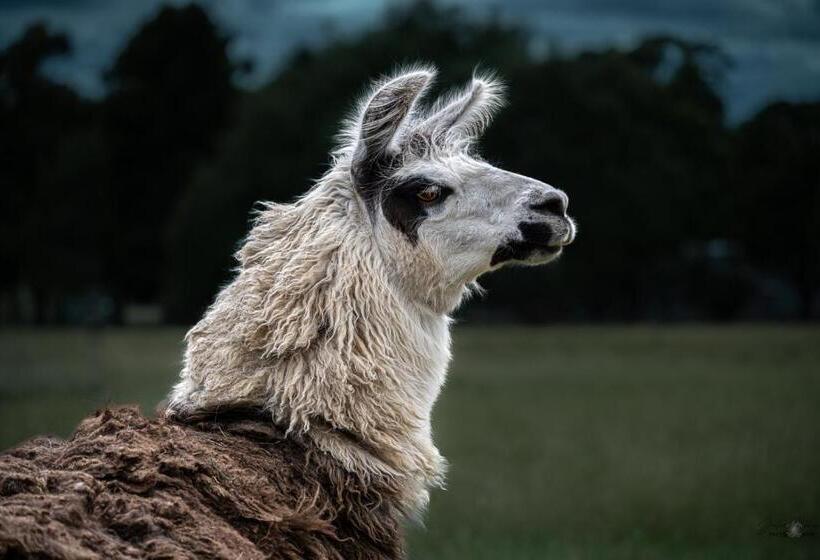 Onegum Bed And Breakfast