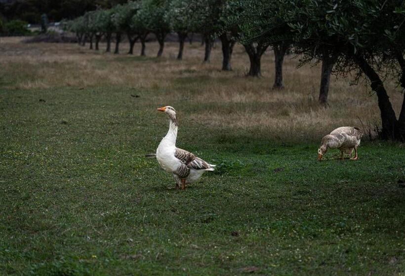 Onegum Bed And Breakfast