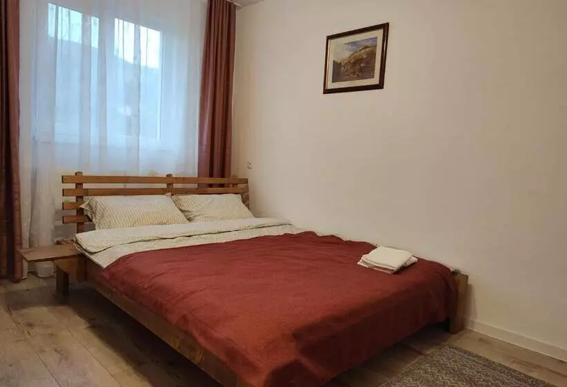 ペンション Casa Pescarului Apuseni