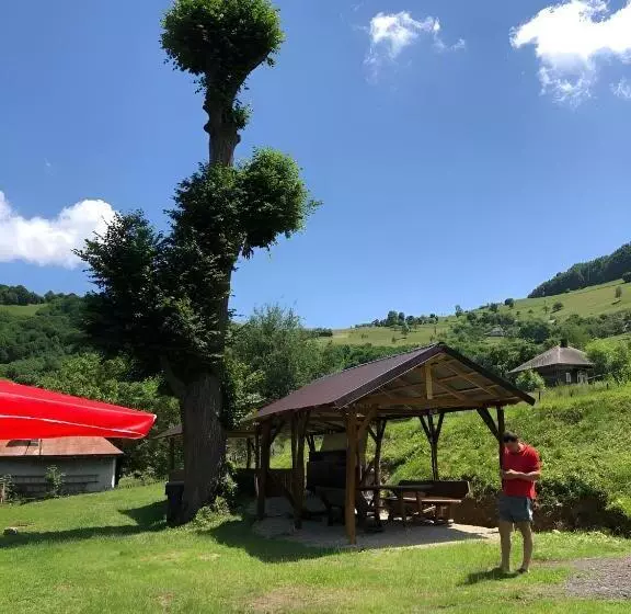 ペンション Casa Pescarului Apuseni