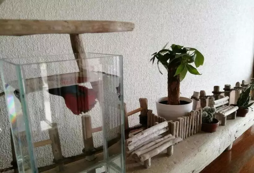 Majatalo Minpaku Yamamoto  Vacation Stay 13869