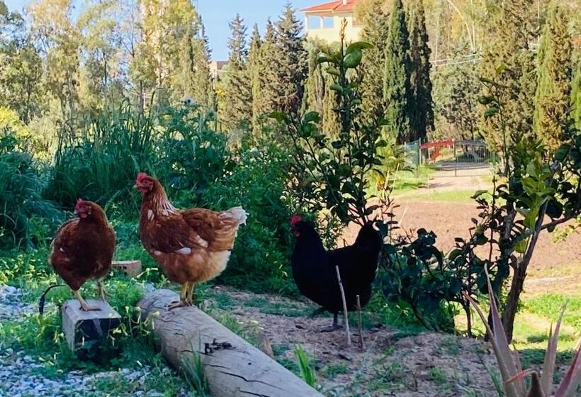 住宿加早餐  Coru & Bentu