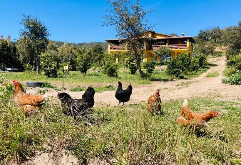 Aamiaismajoitus (B&B) Coru & Bentu