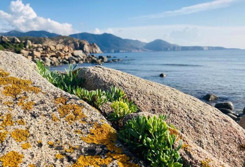 住宿加早餐  Coru & Bentu