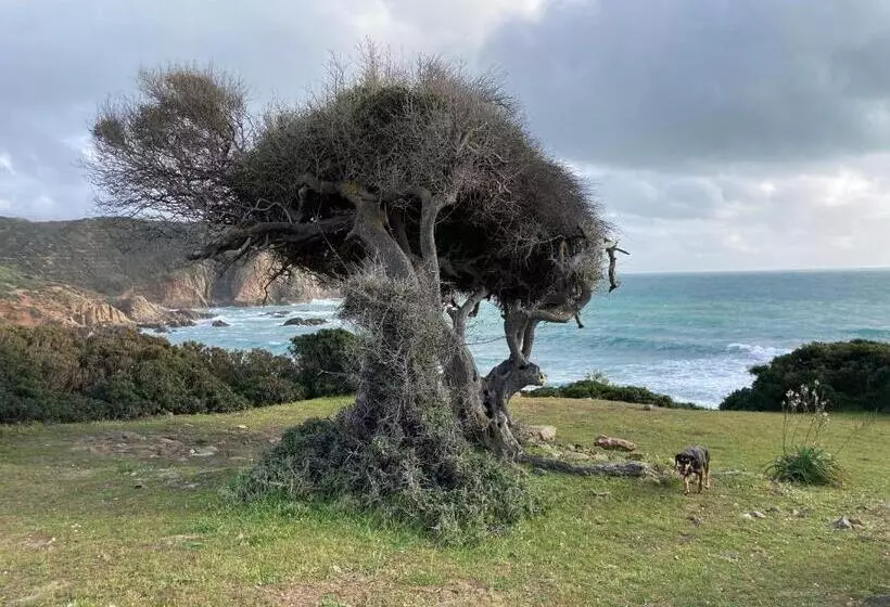 Aamiaismajoitus (B&B) Coru & Bentu