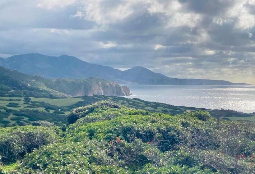 住宿加早餐  Coru & Bentu