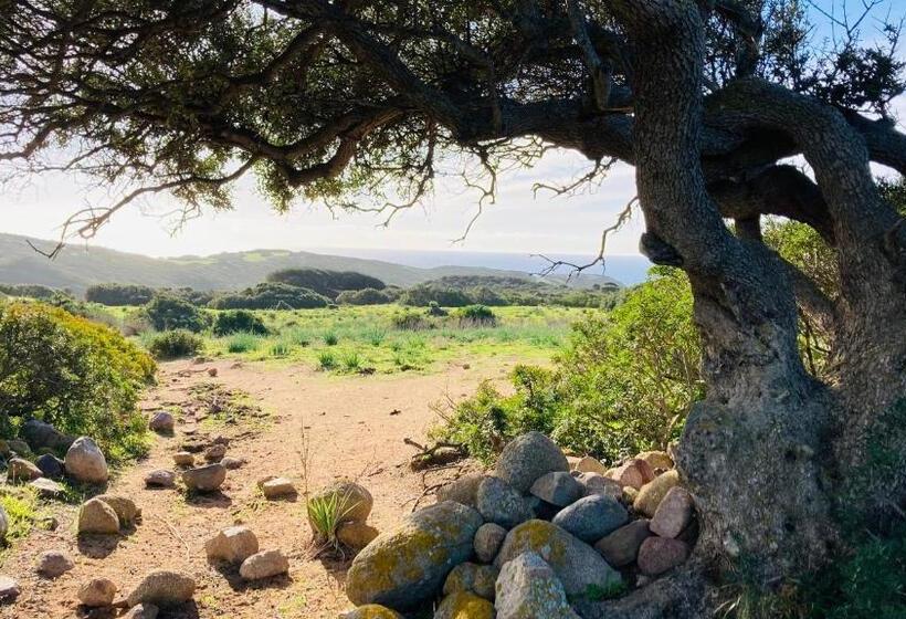 住宿加早餐  Coru & Bentu