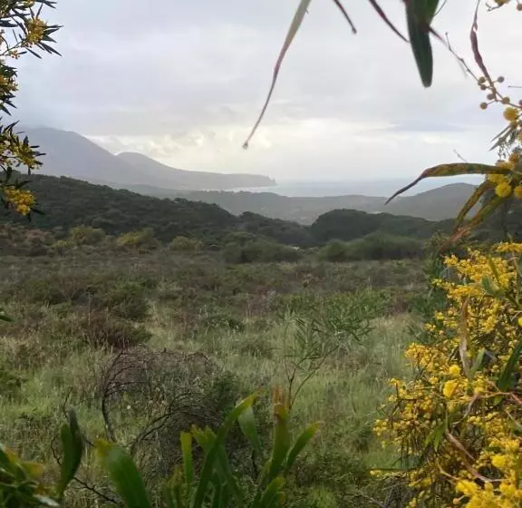 Aamiaismajoitus (B&B) Coru & Bentu