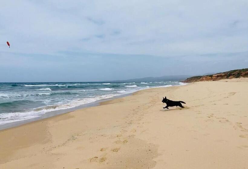 住宿加早餐  Coru & Bentu