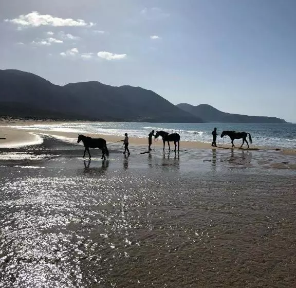 Aamiaismajoitus (B&B) Coru & Bentu