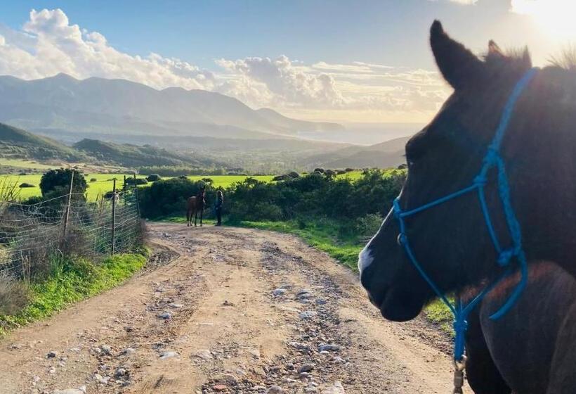住宿加早餐  Coru & Bentu