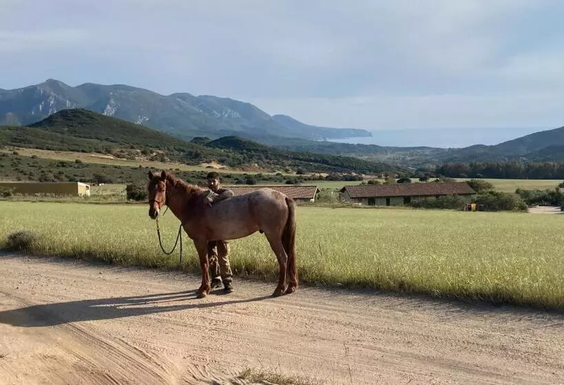 Aamiaismajoitus (B&B) Coru & Bentu