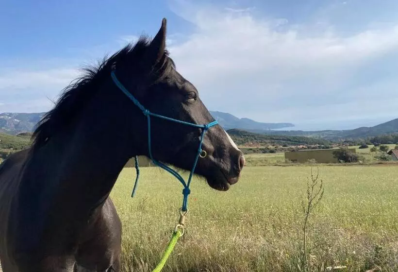 Aamiaismajoitus (B&B) Coru & Bentu