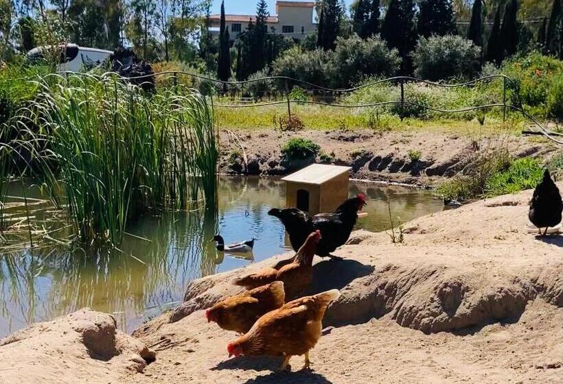 住宿加早餐  Coru & Bentu