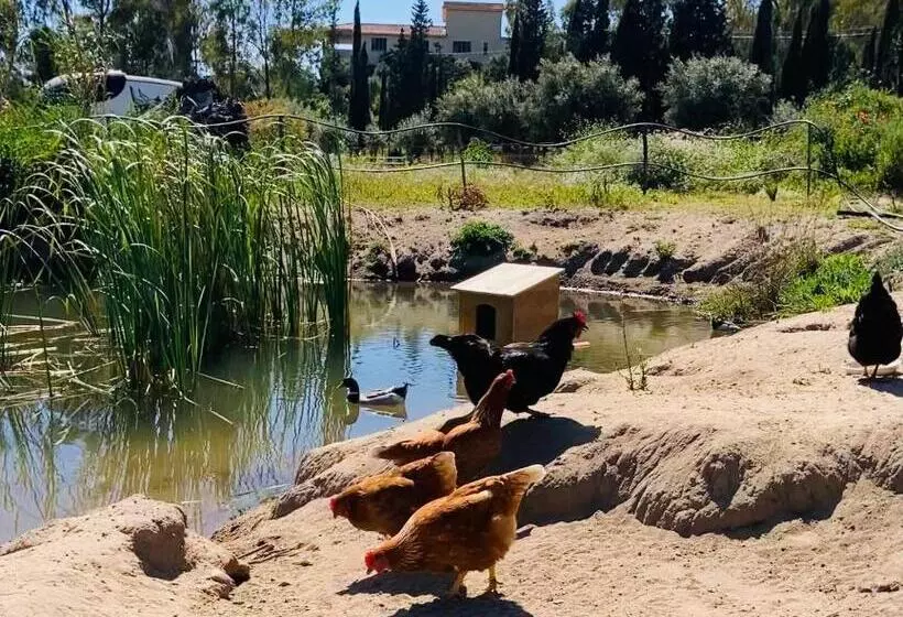 Aamiaismajoitus (B&B) Coru & Bentu