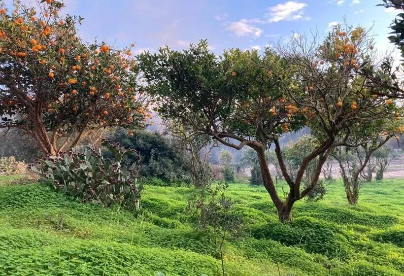 Aamiaismajoitus (B&B) Coru & Bentu