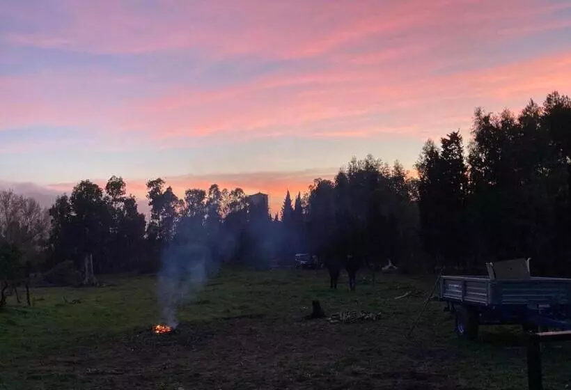 Aamiaismajoitus (B&B) Coru & Bentu