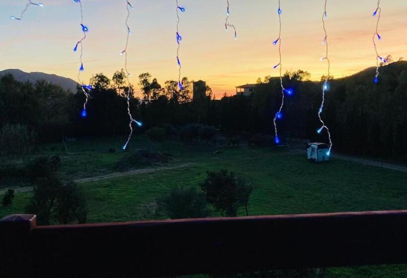 住宿加早餐  Coru & Bentu