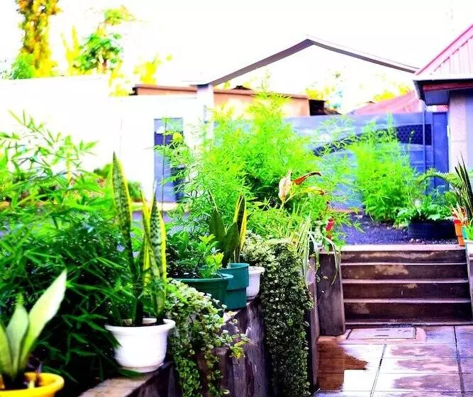 تختخواب و صبحانه Safari Park House