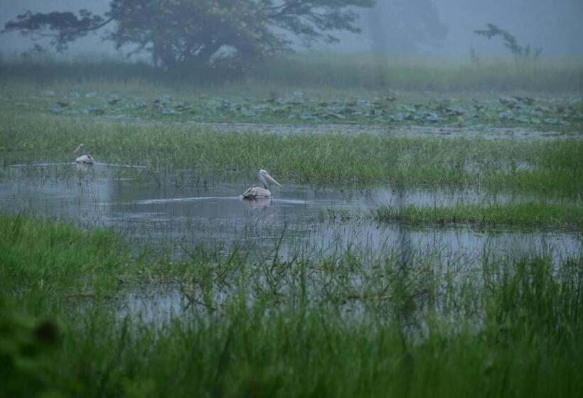 Отель Margosa Mountain Villa