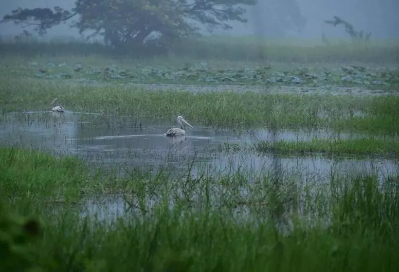 Hotelli Margosa Mountain Villa