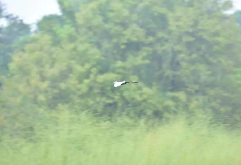 Hotelli Margosa Mountain Villa