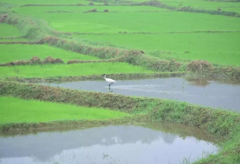 Hotelli Margosa Mountain Villa