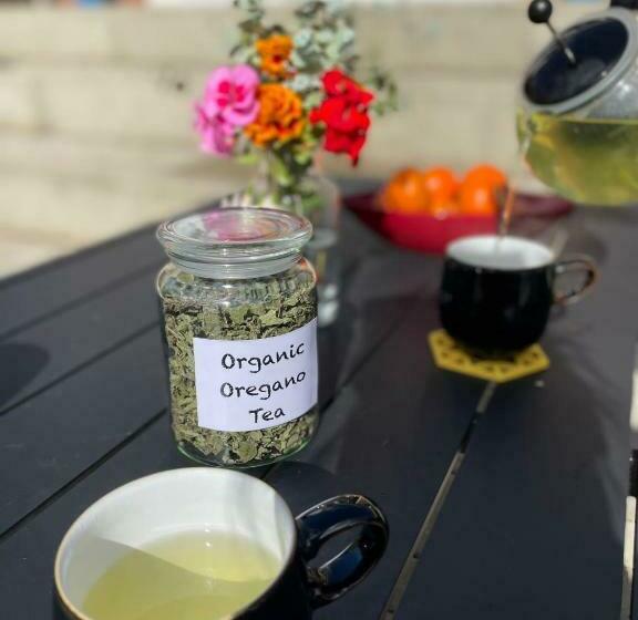 Majatalo Private Rooms Near Ipswich Centre/waterfront/hospital