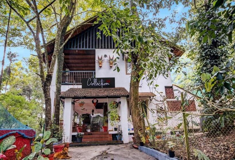 فندق Collection O Misty Stay Thekkady