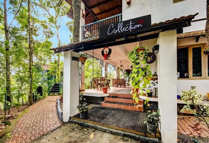 Hotelli Collection O Misty Stay Thekkady