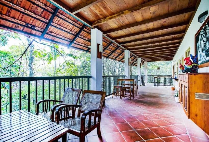 فندق Collection O Misty Stay Thekkady