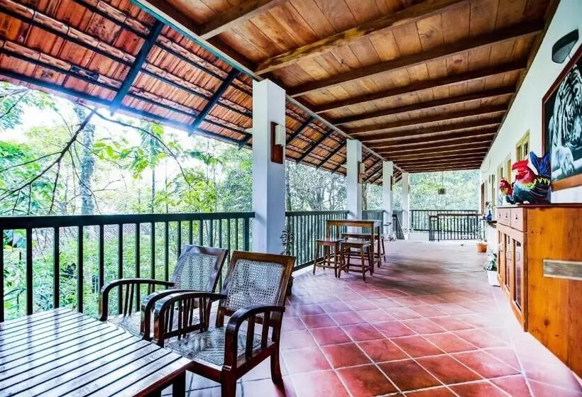 Hotelli Collection O Misty Stay Thekkady