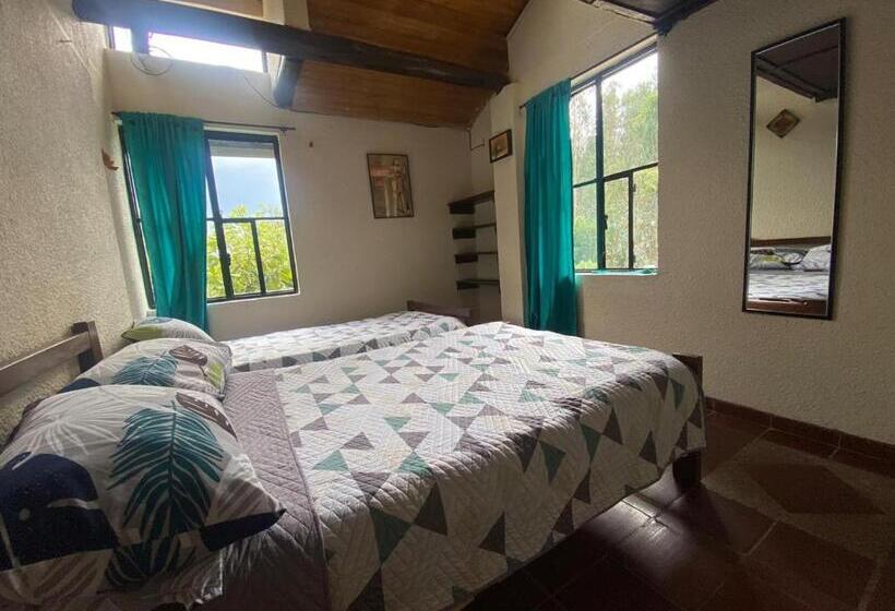 Pension (Hôtel basse catégorie) Arte Sin Fronteras Hostel