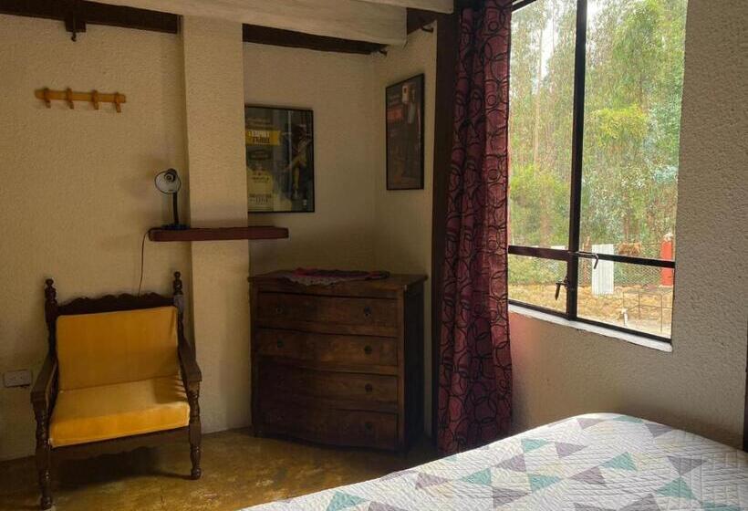 Pension (Hôtel basse catégorie) Arte Sin Fronteras Hostel