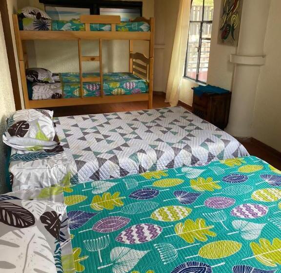 Pension (Hôtel basse catégorie) Arte Sin Fronteras Hostel