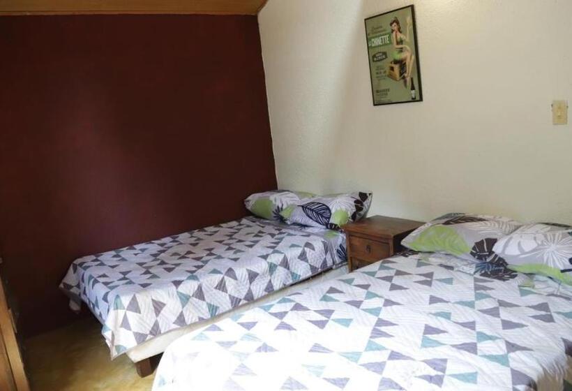 Pension (Hôtel basse catégorie) Arte Sin Fronteras Hostel